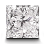 Princess Cut Diamond (a.k.a. Square Cut Diamond)