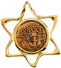 Star Slide Pendant with Widow's Mite Coin | 26.5 x 23 mm | SKU: R41543