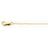 .75mm Lasered Titan Gold Rope Chain Ref 310268