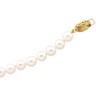 Cultured Chinese Akoya Pearl Strand with Gold Clasp 6 to 6.5mm Ref 296195