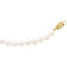Cultured Chinese Akoya Pearl Bracelet 7 inch Ref 998208