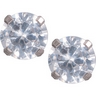 Titanium Round CZ Earrings | 6 mm | SKU: 23592