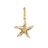 .1 CTW Diamond Starfish Charm Ref 350134