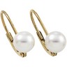 Cultured Pearl Lever Back Earrings Ref 907164