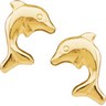 Gold Fashion Earrings