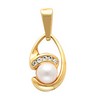 Pendant for 7.0mm Pearl 10 pttw dia. Ref 954542