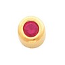 Birthstone Pendant Slide 4mm Stone Ref 578816