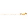 1mm Lasered Titan Gold Curb Chain with Lobster Clasp Ref 349933