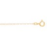 1mm Lasered Titan Gold Curb Chain with Spring Ring Clasp Ref 694873