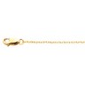 .75mm Lasered Titan Gold Rope Chain Ref 310268