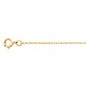 .75mm Lasered Titan Gold Rope Chain Ref 741518