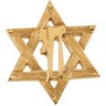 Chai/Star of David Brooch | Height: 23.25mm; Width: 20.25mm | SKU: R16391