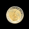 Miraculous Medal Lapel Pin 15mm Ref 229137