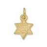 Star of David Pendant Height: 7.5mm; Width: 7.0mm Ref 464540